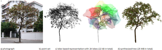 Texture-Lobes for Tree Modelling