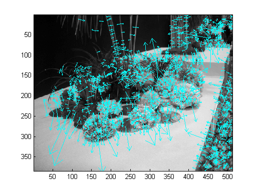 flower2_sift(1674) flower2_sift(1674)