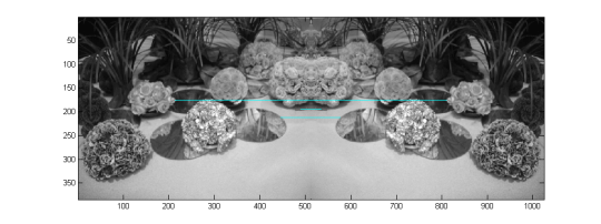 flower_match_horizontal(3) flower_match_horizontal(3)