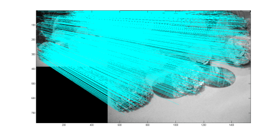 flower_match_original(2066) flower_match_original(2066)