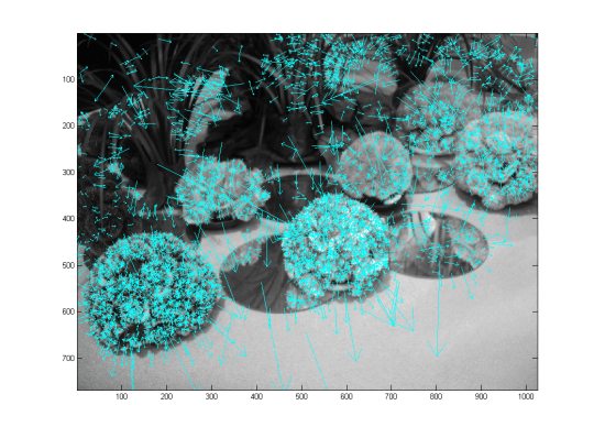 flower_original_sift(4712) flower_original_sift(4712)