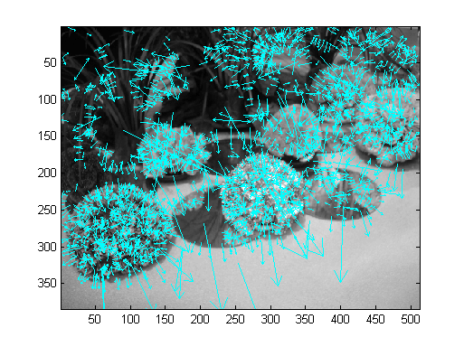 flower_sift(2378) flower_sift(2378)