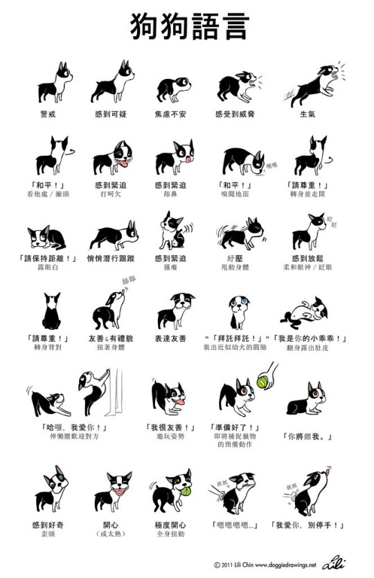 狗狗行為圖解 Illustrations Dog Behavior (1)