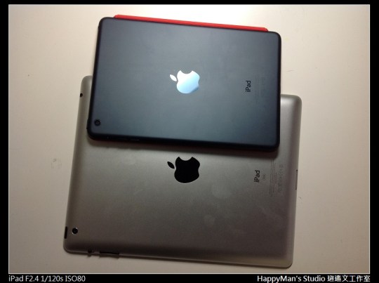 iPad mini  (2)