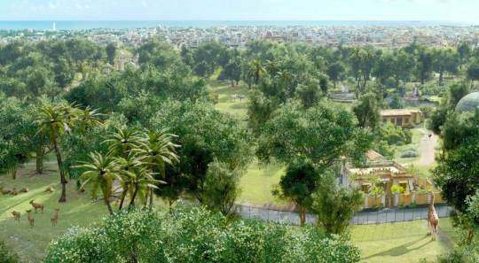 少年PI的奇幻漂流 (10)