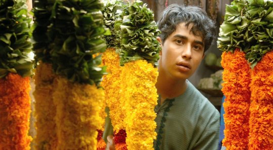 少年PI的奇幻漂流 (11)