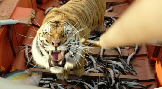 少年PI的奇幻漂流 (12)