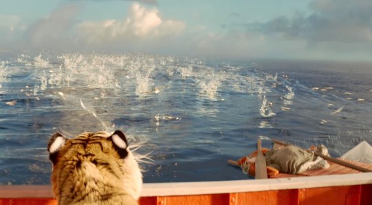 少年PI的奇幻漂流 (13)