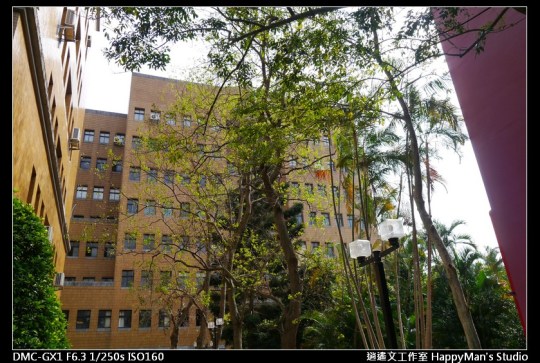 師大分部校園之數學系館 (10)