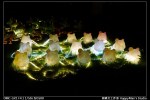 寶藏巖燈節 (16)