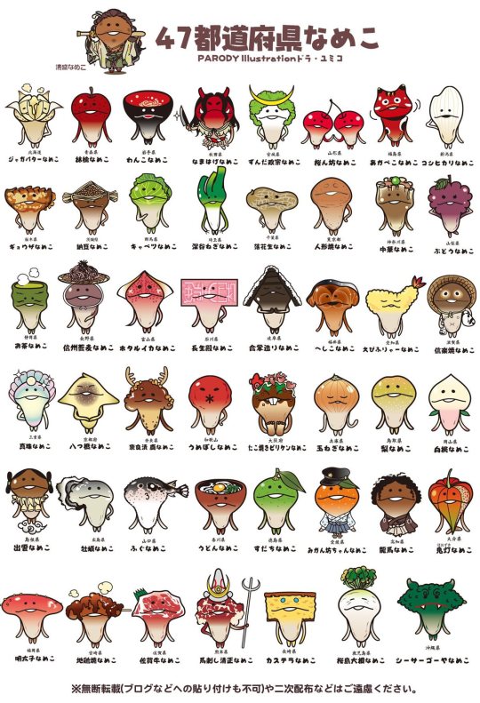 方吉菇菇 Funghi mushroom