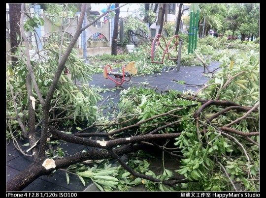 被蘇力颱風掃過的校園 (10)