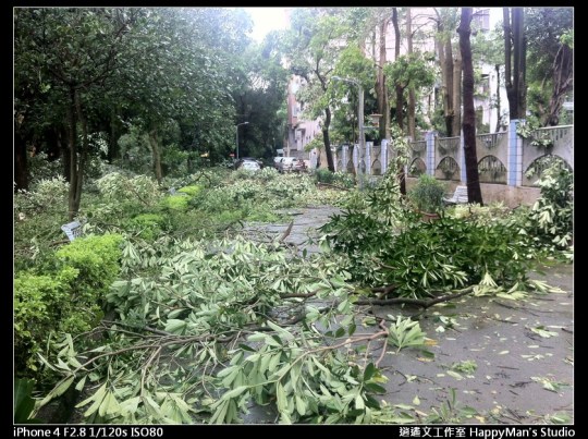 被蘇力颱風掃過的校園 (11)