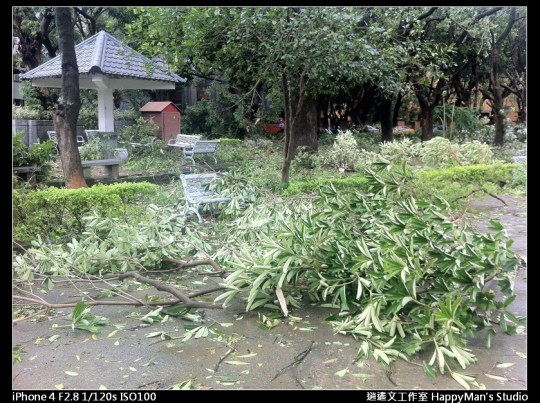 被蘇力颱風掃過的校園 (13)