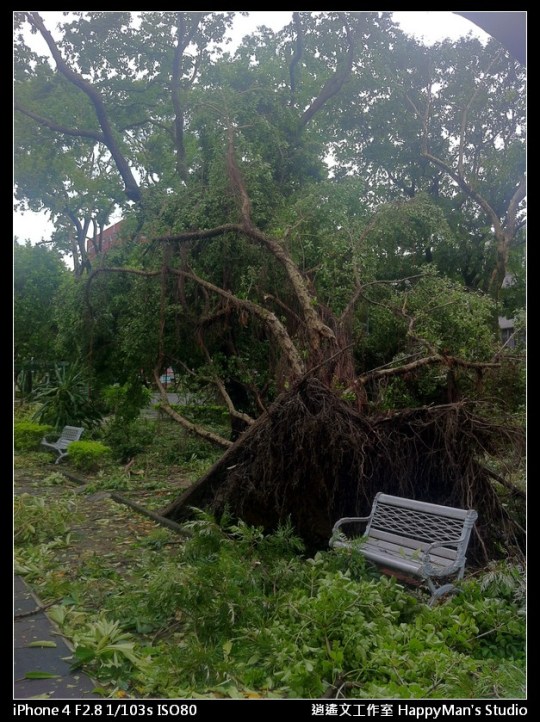 被蘇力颱風掃過的校園 (16)