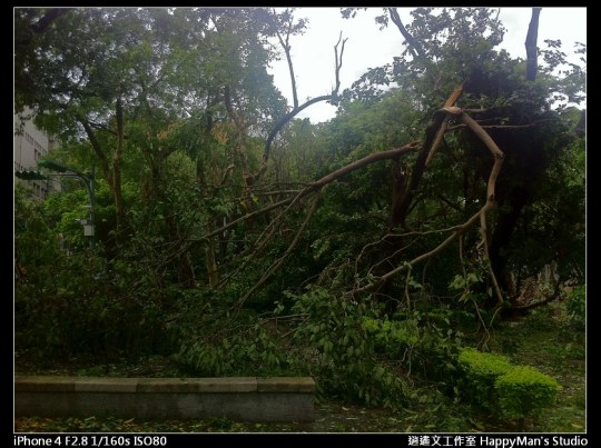 被蘇力颱風掃過的校園 (17)