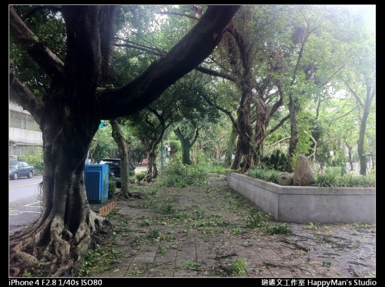 被蘇力颱風掃過的校園 (19)