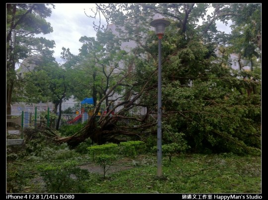 被蘇力颱風掃過的校園 (20)