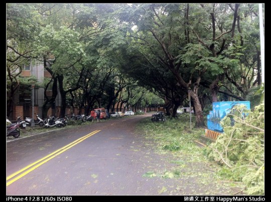 被蘇力颱風掃過的校園 (22)