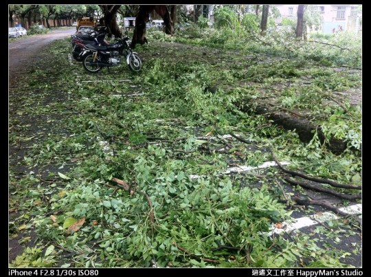被蘇力颱風掃過的校園 (23)