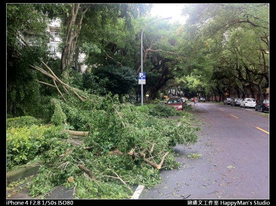 被蘇力颱風掃過的校園 (26)