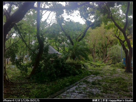 被蘇力颱風掃過的校園 (5)