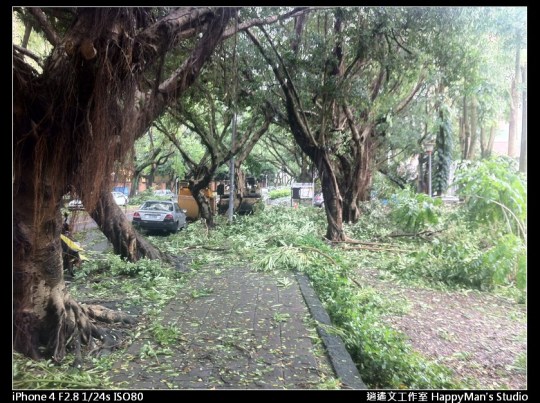 被蘇力颱風掃過的校園 (6)