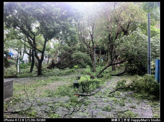 被蘇力颱風掃過的校園 (7)