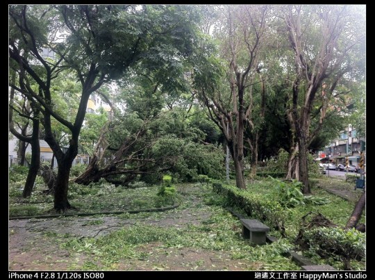 被蘇力颱風掃過的校園 (8)