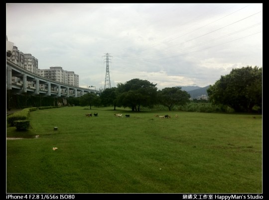 被蘇力颱風掃過的福和河堤 (1)