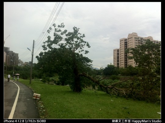 被蘇力颱風掃過的福和河堤 (3)