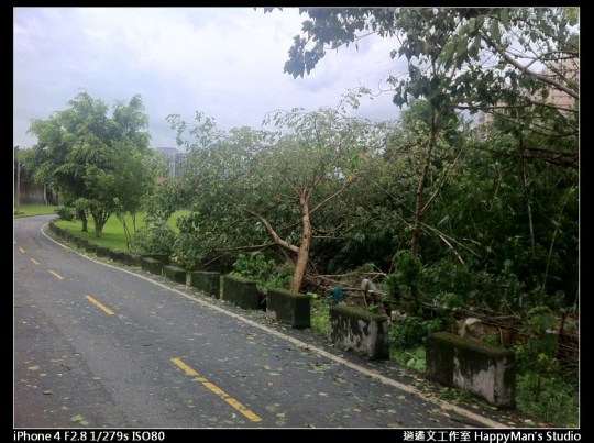 被蘇力颱風掃過的福和河堤 (5)