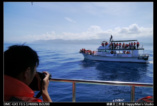 花蓮花蓮 鯨世界賞鯨 (10)