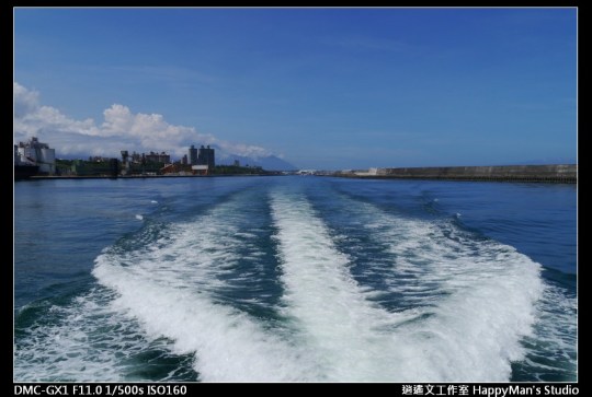 花蓮花蓮 鯨世界賞鯨 (2)