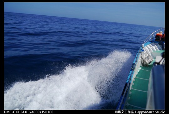 花蓮花蓮 鯨世界賞鯨 (26)