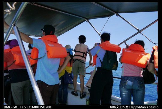 花蓮花蓮 鯨世界賞鯨 (5)