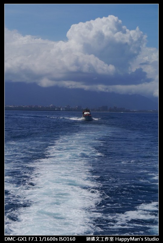 花蓮花蓮 鯨世界賞鯨 (6)