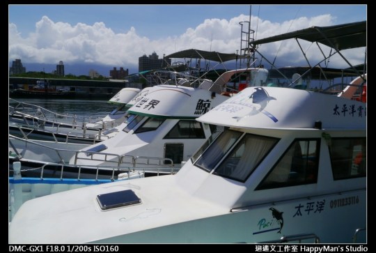 花蓮花蓮 鯨世界賞鯨