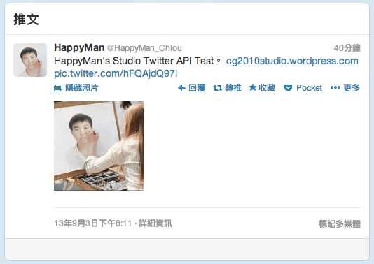 ios 使用推特 (Using Twitter) 結果