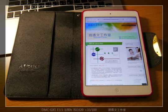 寫真 iPad mini 保護殼 (8)