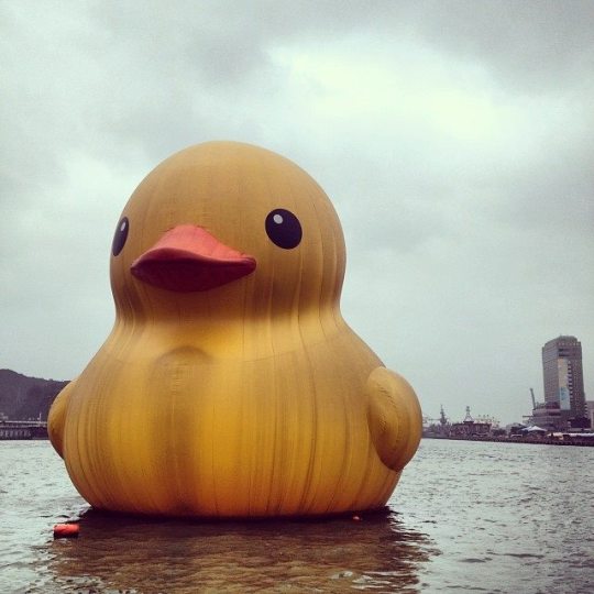 髒了一身的黃色小鴨