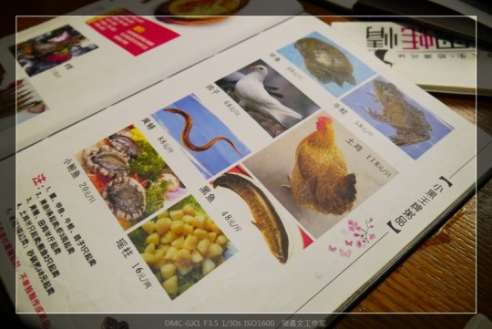 上海 小黑蚝情 (1)