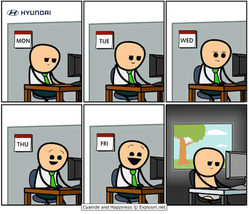 programmer's days