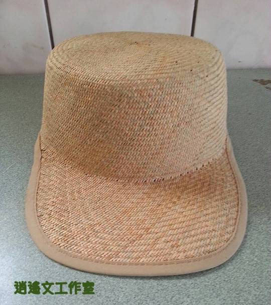 鴨舌草帽2
