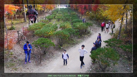 韓國首爾 在南怡島空中滑翔 (11)