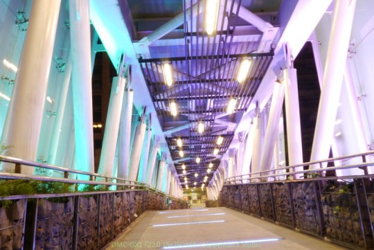 新北板橋 新北市歡樂耶誕城12