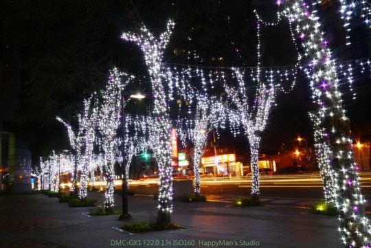 新北板橋 新北市歡樂耶誕城35