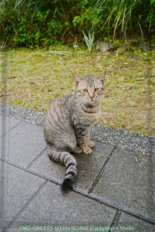 新北平溪 十分瀑布11