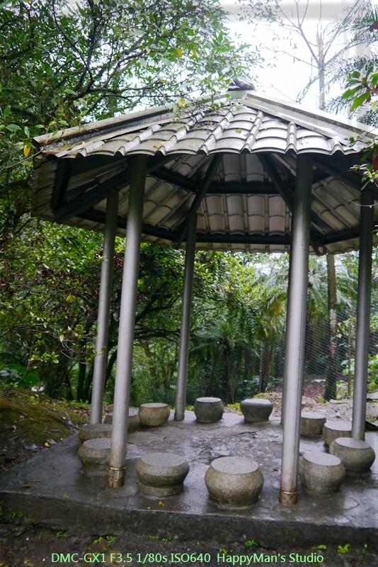 新北平溪 十分瀑布22