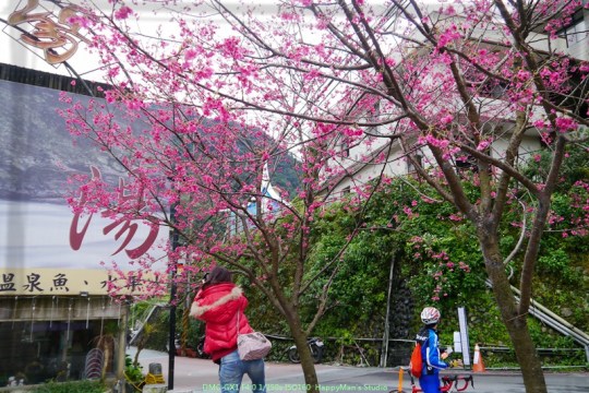 新北烏來 烏來瀑布00014